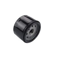 Filtr oleju Briggs & Stratton 492932