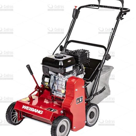 Wertykulator spalinowy Weibang WB 384 RB B&S750