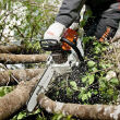 Pilarka spalinowa STIHL MS261C-M 4,1KM 325