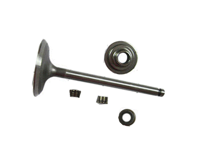 Zawór ssący B&S  VANGUARD OHV