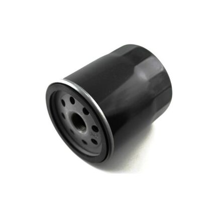 Filtr oleju Briggs&Stratton 491056