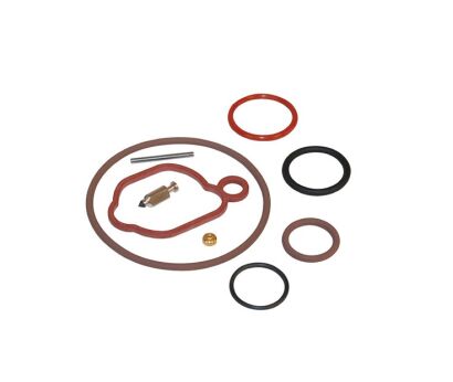 Zestaw naprawczy gaźnika Briggs&Stratton 590589