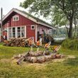 Pilarka spalinowa STIHL MS172C 1,9KM 35cm 3/8