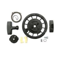 Zestaw naprawczy rozrusznika Briggs&Stratton