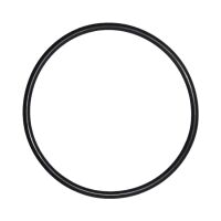 O-ring 101.2x2.53 do pomp VX, D "PEDROLLO"