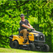 Kosiarka traktorek ogrodowy CubCadet LT3 PR105 - 3