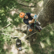 Pilarka spalinowa STIHL MS194T 1,9KM 35cm 3/8