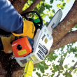 Pilarka spalinowa STIHL MS194T 1,9KM 35cm 3/8