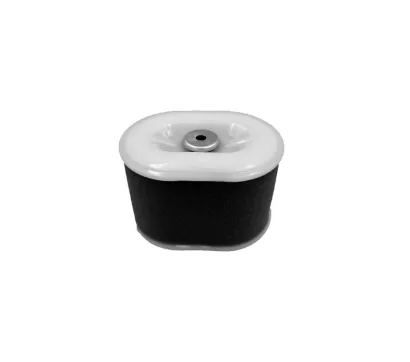 Filtr powietrza Loncin G160F G200F LC168F 180100034T040