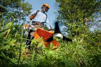 Kosa spalinowa STIHL FS240 - 5
