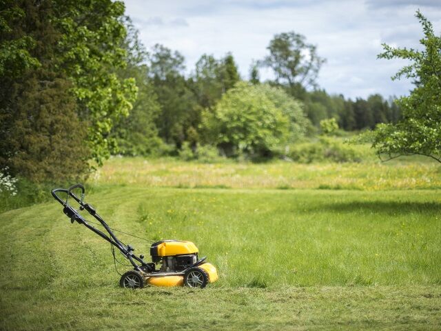 Jaki poziom bezpieczeństwa zapewniają kosiarki?