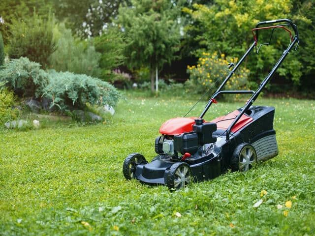 Kosiarki Stihl w pielęgnacji trawnika – jak osiągnąć najlepsze rezultaty?